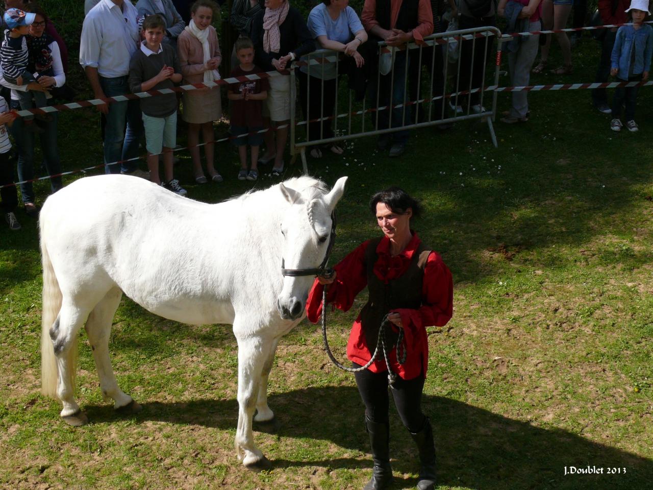 Spectacle Equestre 05052013 (84)
