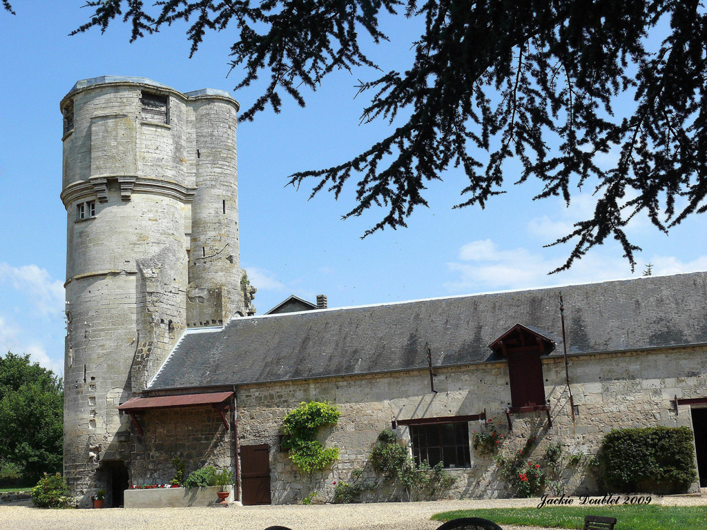 Tour de l'ancien château Féodal 14è (1)