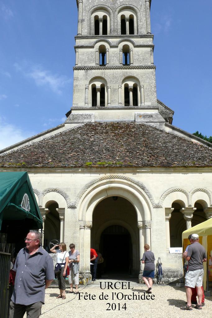 Urcel Fête de l'Orchidée 2014 (1)
