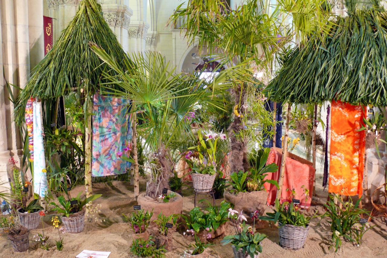 Urcel Fête de l'Orchidée 2014 (25)