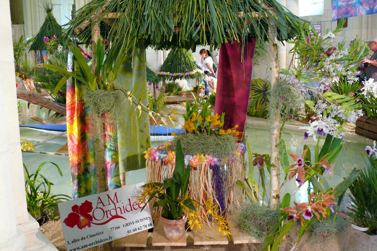 Urcel Fête de l'Orchidée 2014 (44)