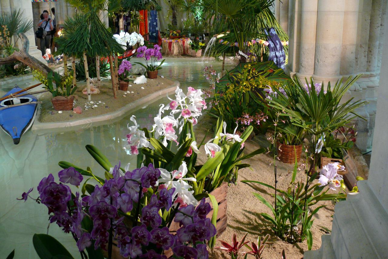 Urcel Fête de l'Orchidée 2014 (6)