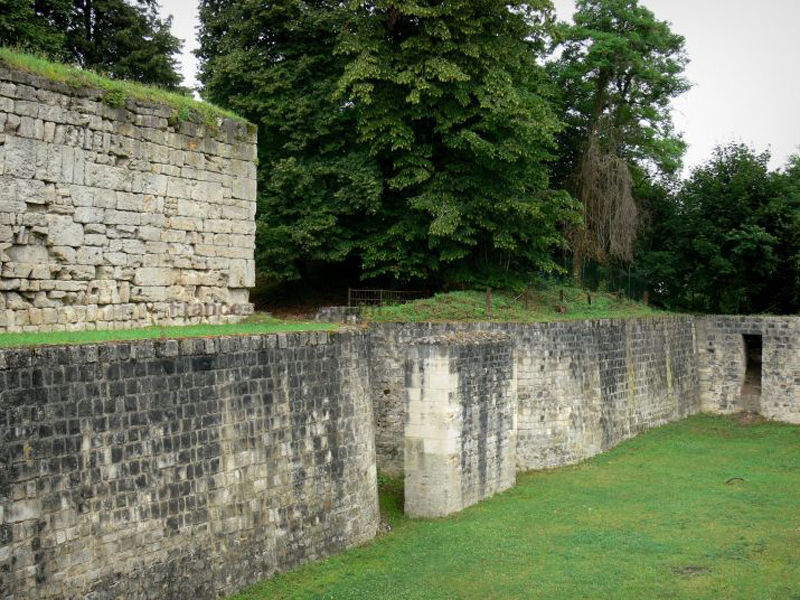 Vieux château (tour Thibaud, donjon) et fossé