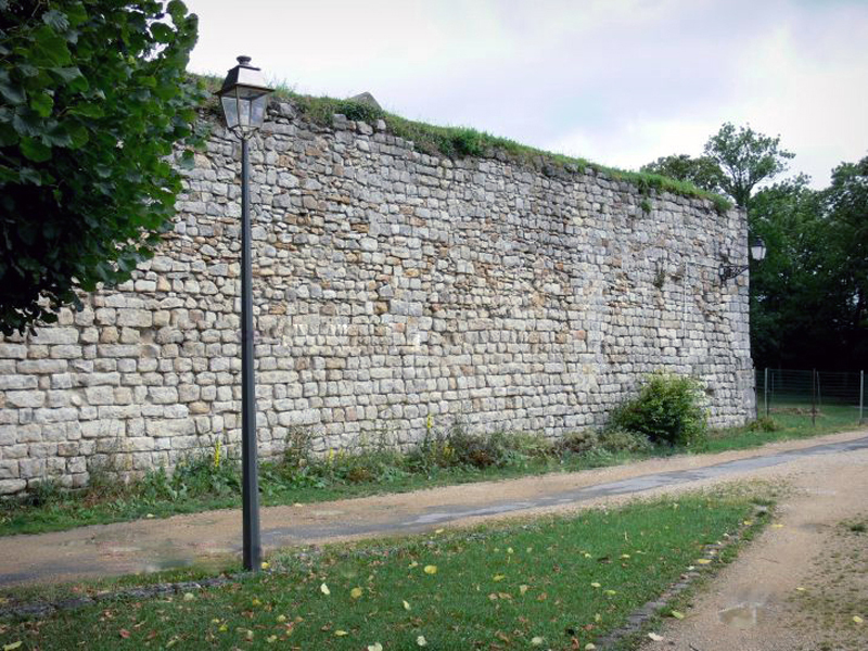 Vieux château (tour Thibaud, donjon)