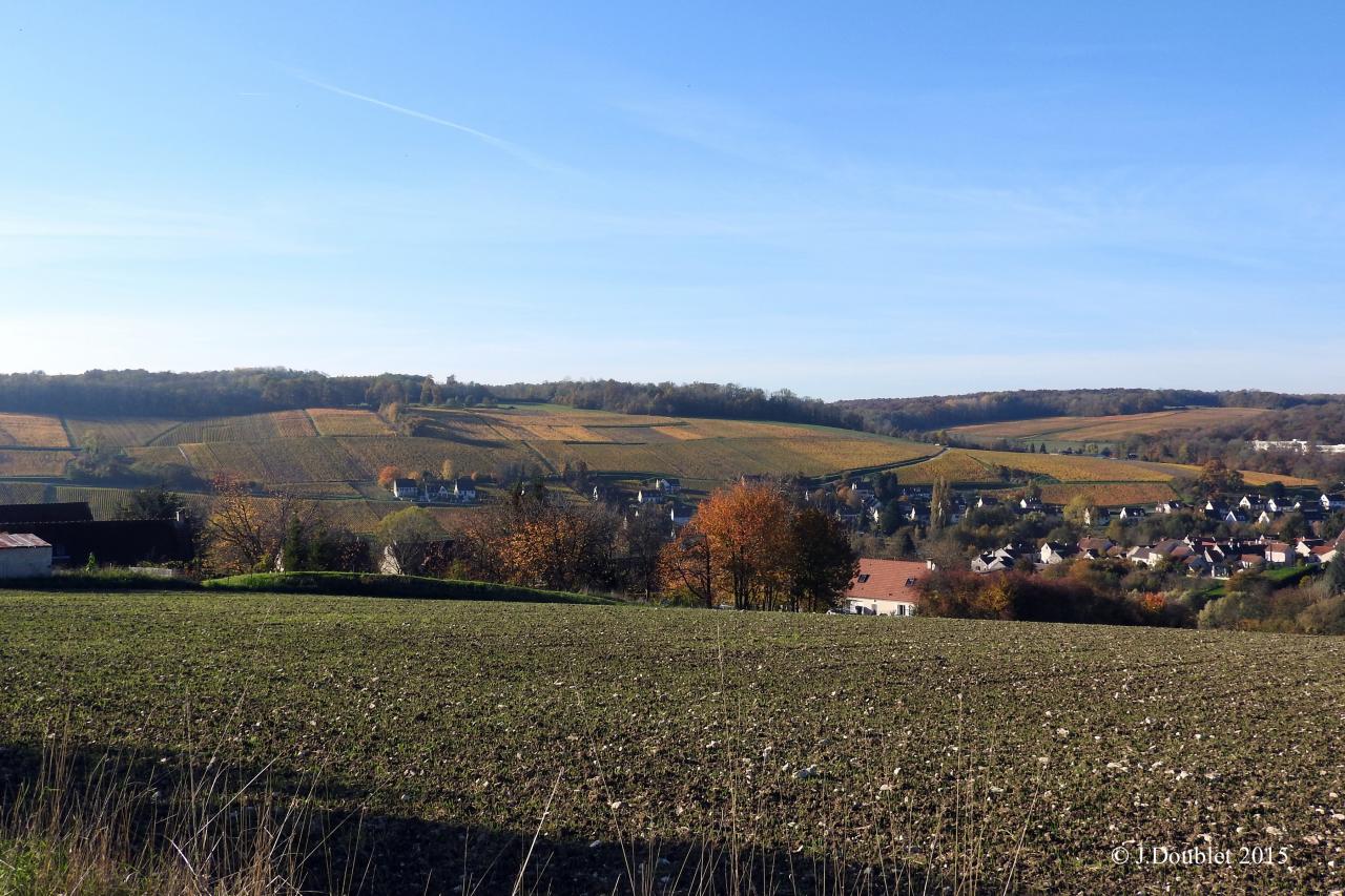 Villiers Saint-Denis 2015 (10)