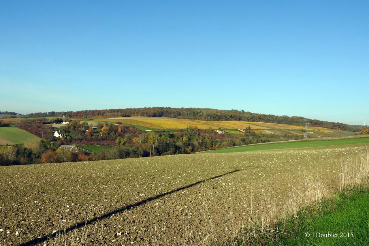 Villiers Saint-Denis 2015 (12)