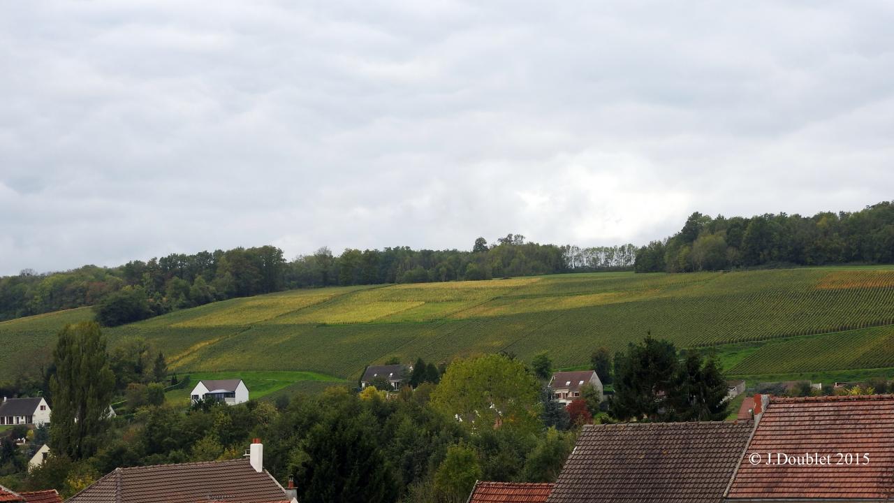 Villiers Saint-Denis 2015 (32)