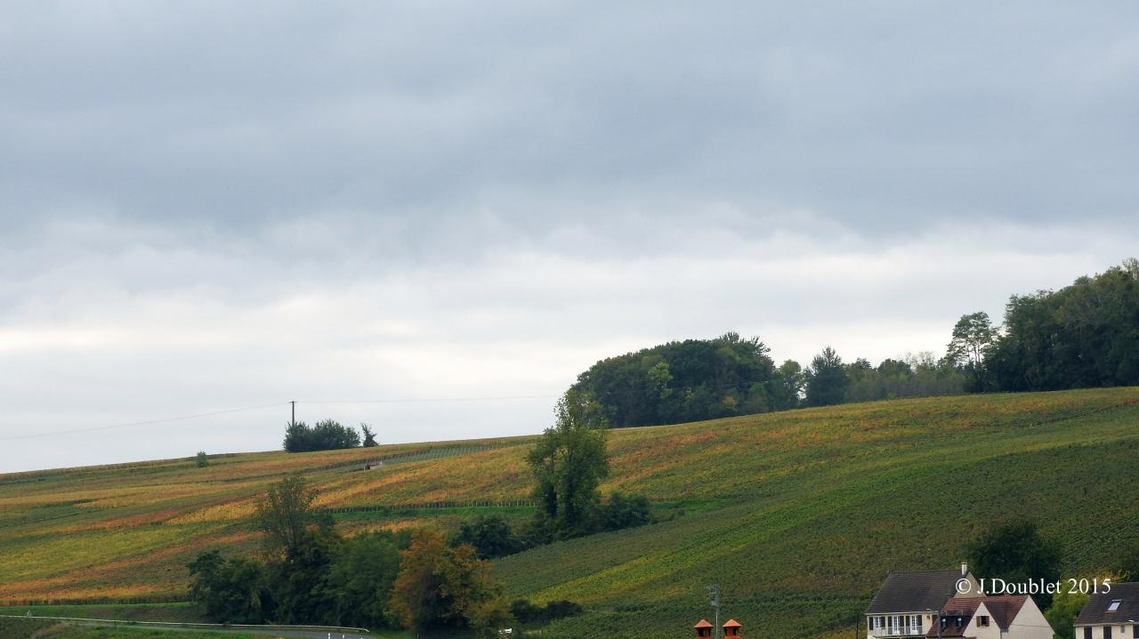 Villiers Saint-Denis 2015 (33)