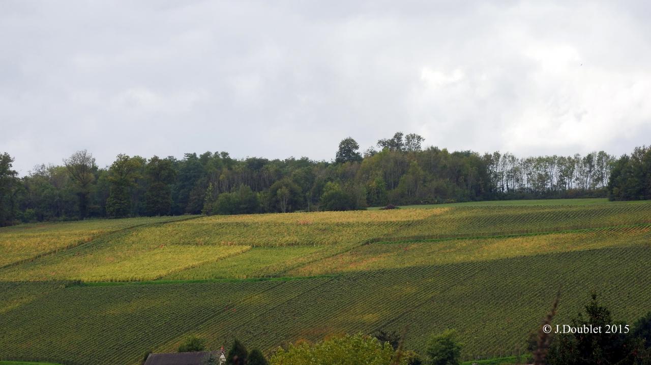 Villiers Saint-Denis 2015 (34)