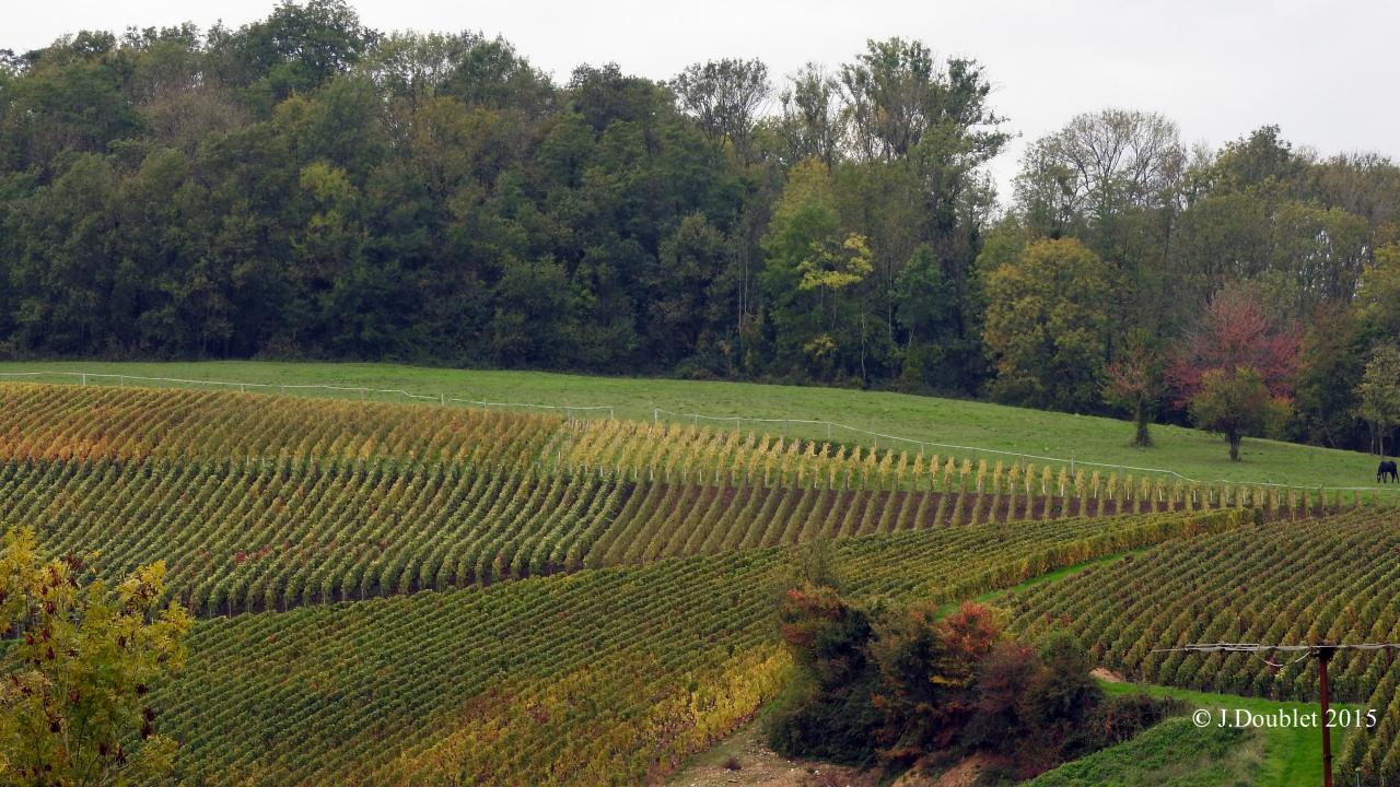 Villiers Saint-Denis 2015 (35)