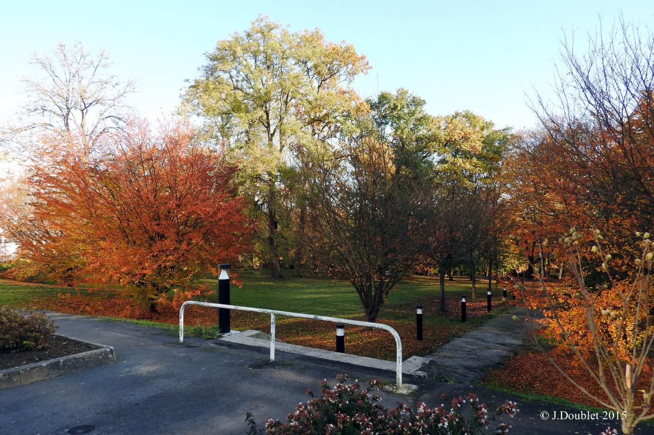 Villiers Saint-Denis 2015  La Renaissance (20)