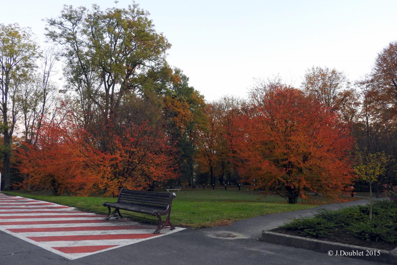 Villiers Saint-Denis 2015  La Renaissance (21)