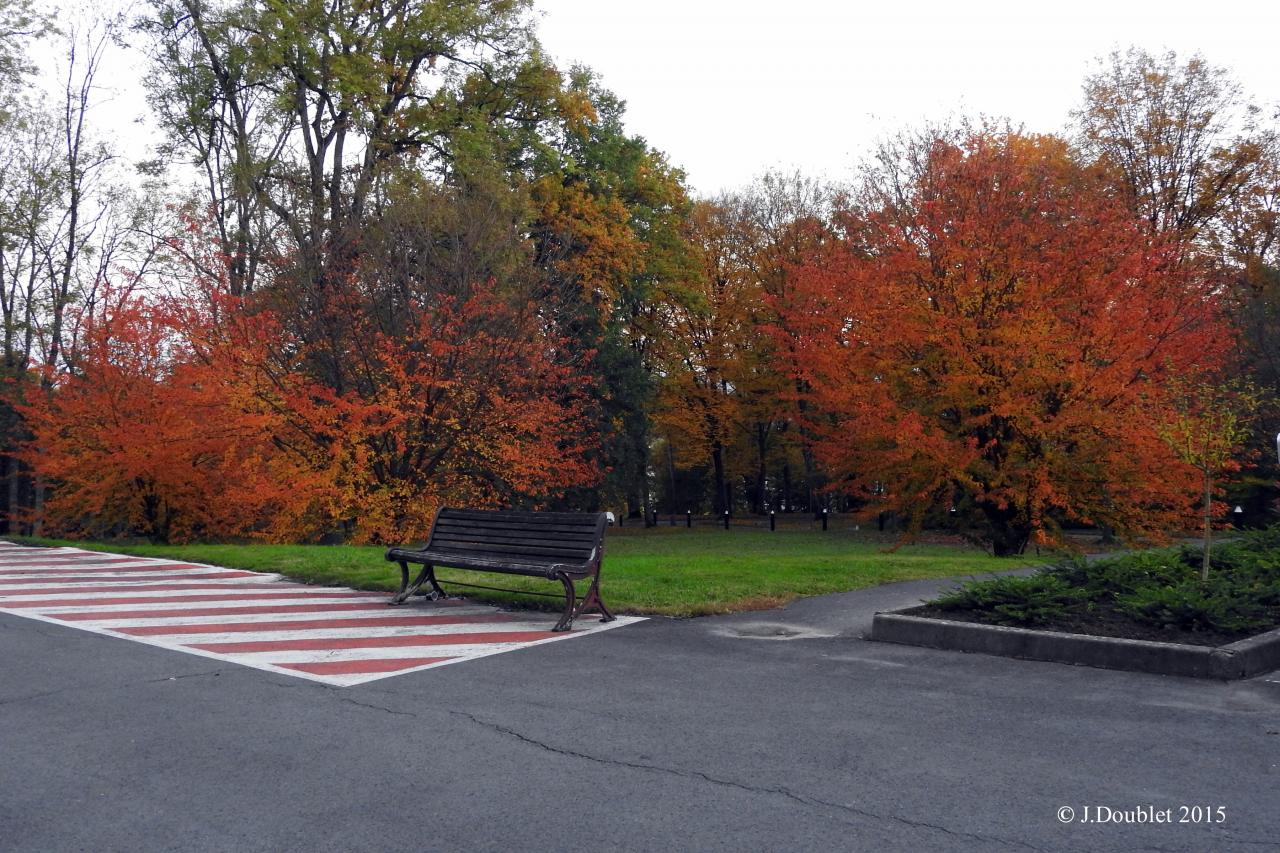 Villiers Saint-Denis 2015  La Renaissance (24)