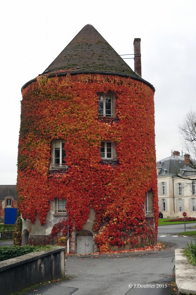 Villiers Saint-Denis 2015  La Renaissance (25)