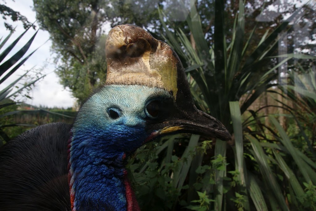 Zoo de Maubeuge 29 Août 2010 (26)